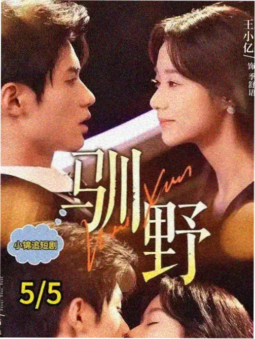 南瓜影视电视剧 - 狂飙